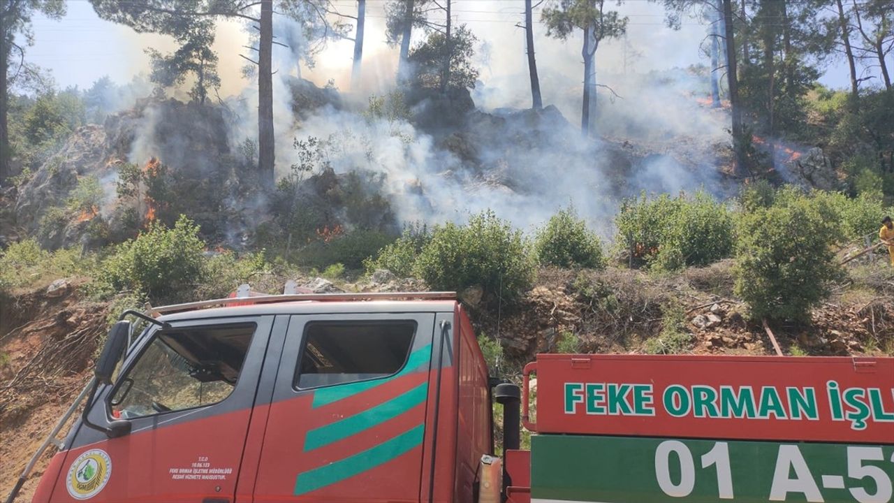 Adana'da Orman Yangınına Hızlı Müdahale