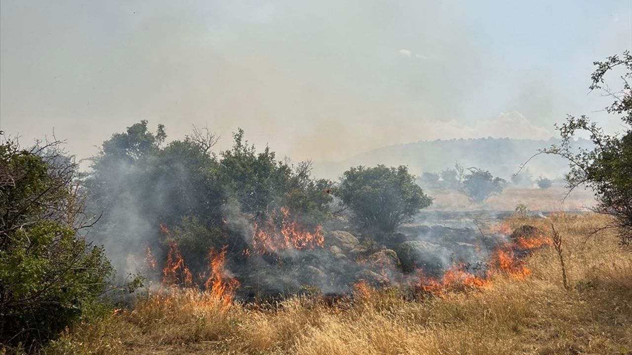 Afyonkarahisar'da Dağlık Alanda Yangın Çıktı