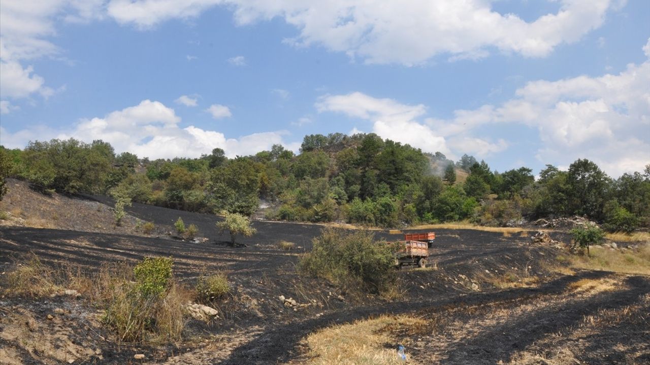 Amasya'da Buğday Tarlasını Saran Yangın