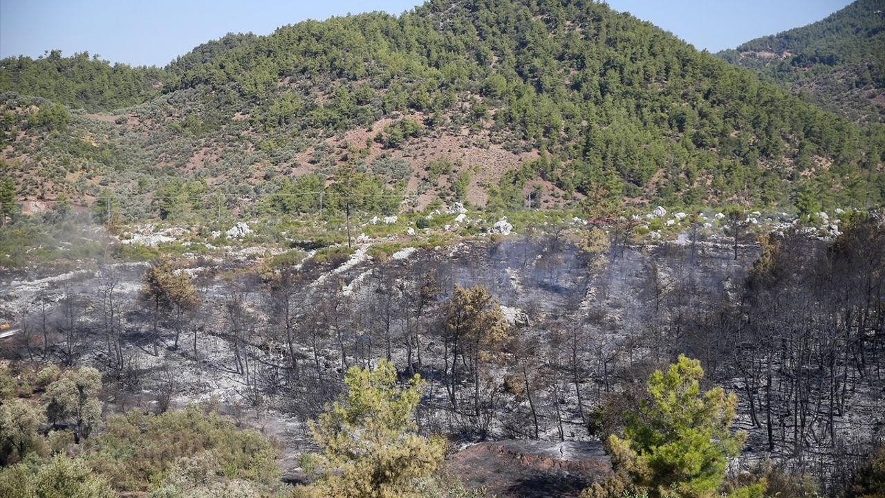 Antalya'daki Orman Yangını Kontrol Altına Alınıyor