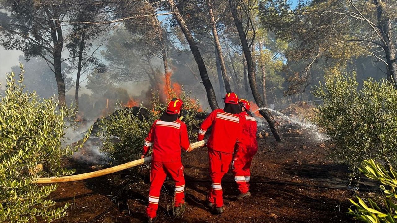 Arnavutluk'ta Orman Yangını: Leş Bölgesinde Tahliyeler Başladı