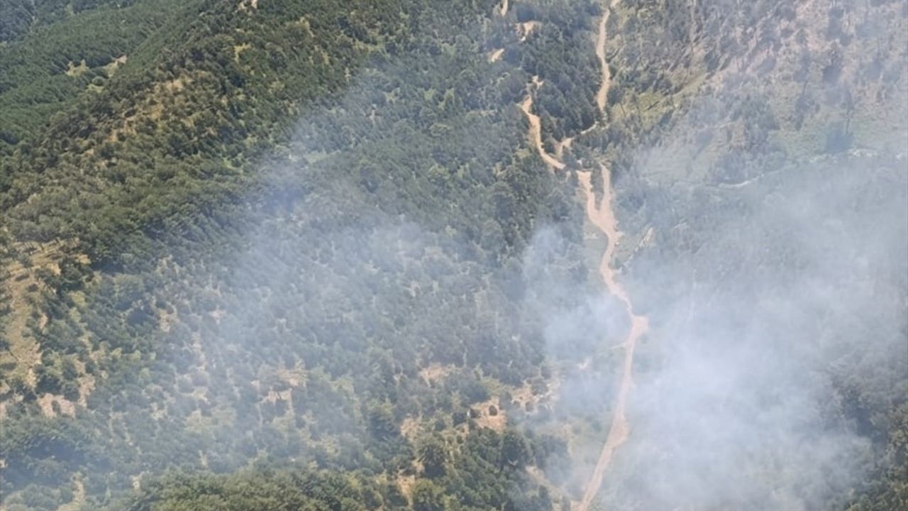 Balıkesir İvrindi'de Orman Yangınına Hızla Müdahale Başlatıldı