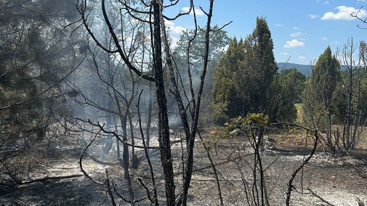 Bilecik'te Arazi Yangını Kontrol Altına Alındı