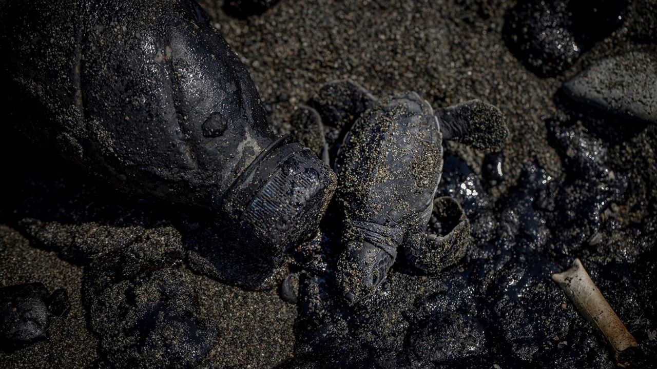 Coşkun'dan Uluslararası Akdeniz Fotoğraf Yarışması'nda İki Ödül