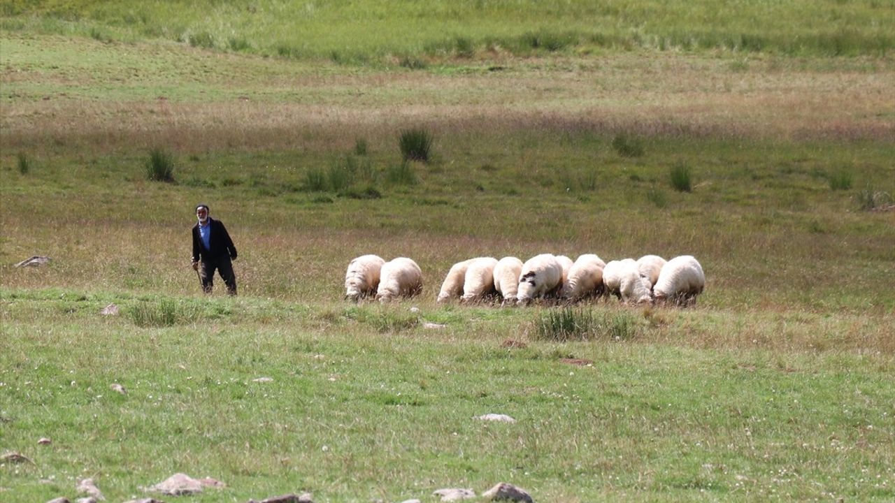 Dumlubaba Yaylası'ndaki Göçerler: Zorlu Yaşam Koşulları ve Umutlar