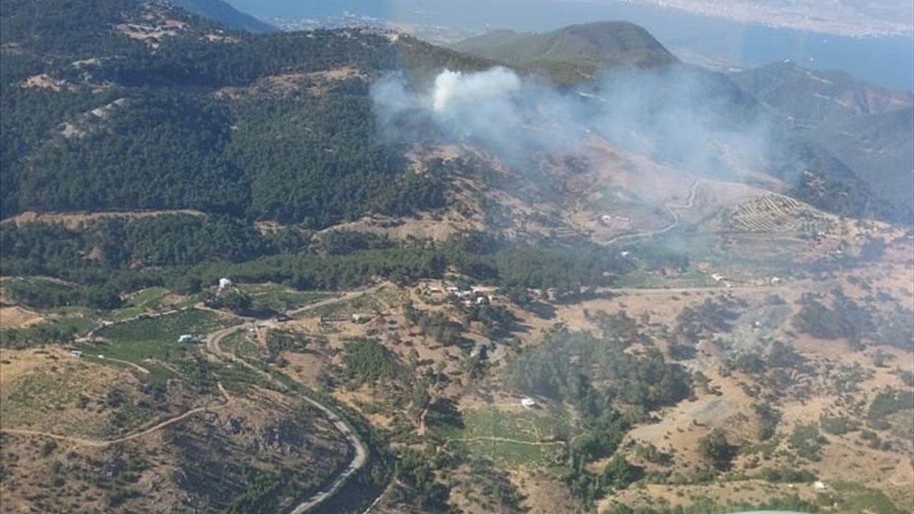 İzmir'de Orman Yangınına Hızlı Müdahale