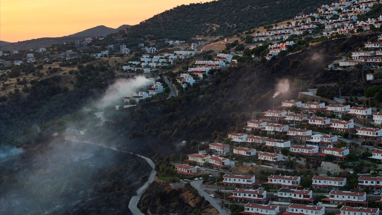 İzmir Dikili'de Orman Yangınına Müdahale Devam Ediyor