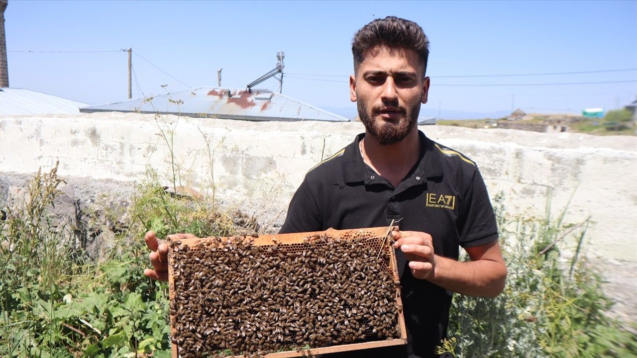 Kars'ta Yağışların Ardından Arıların Oğul Verme Hareketliliği Artış Gösterdi