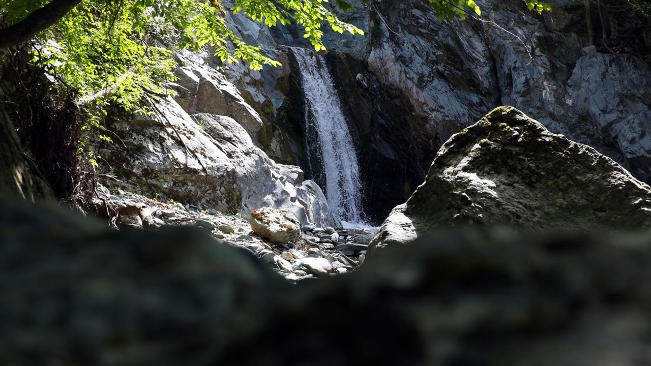 Kastamonu'nun Gürleyik Şelalesi Turizme Kazandırılıyor