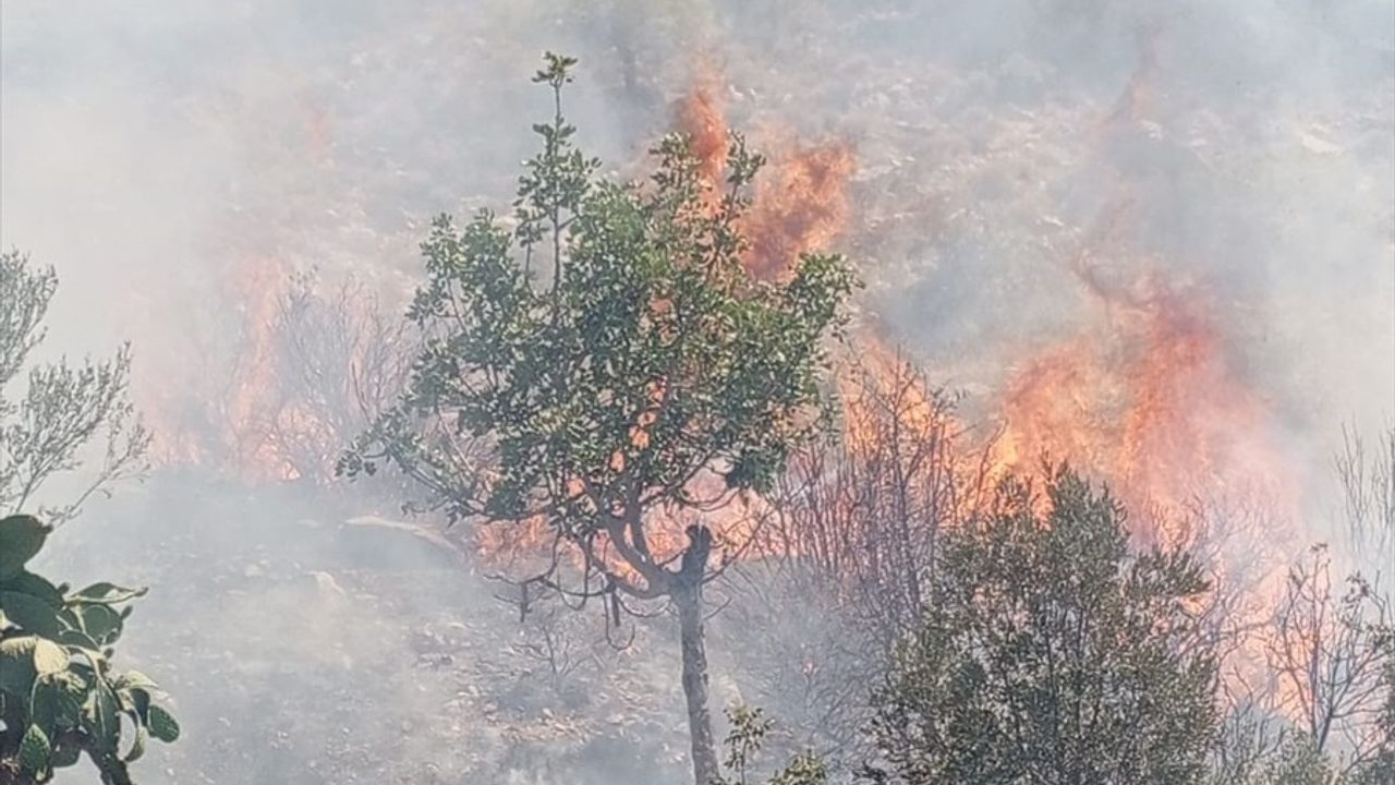 Mersin'de Zirai Alanda Yangın Kontrol Altına Alındı