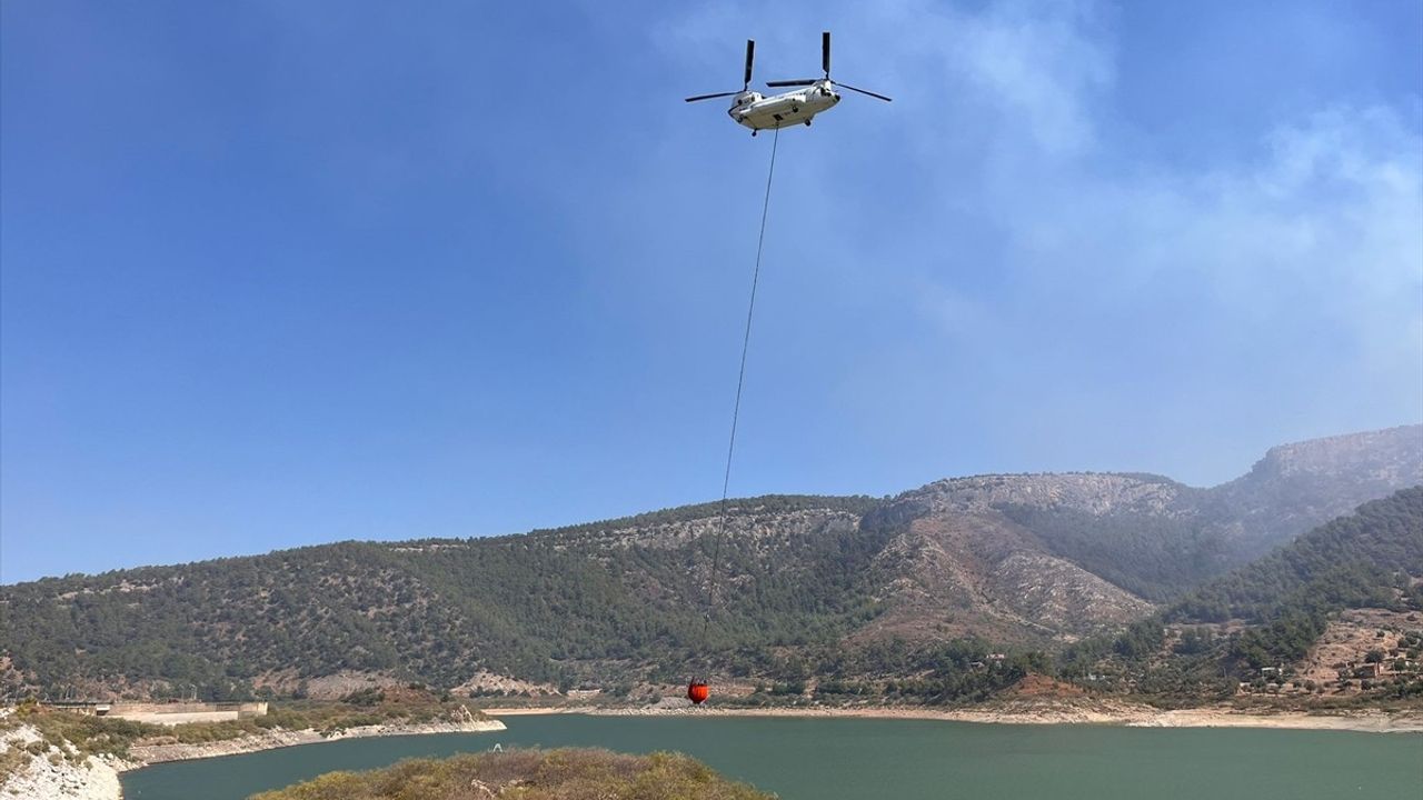 Milas'ta Orman Yangını: Kontrol Altına Alma Çabaları Devam Ediyor