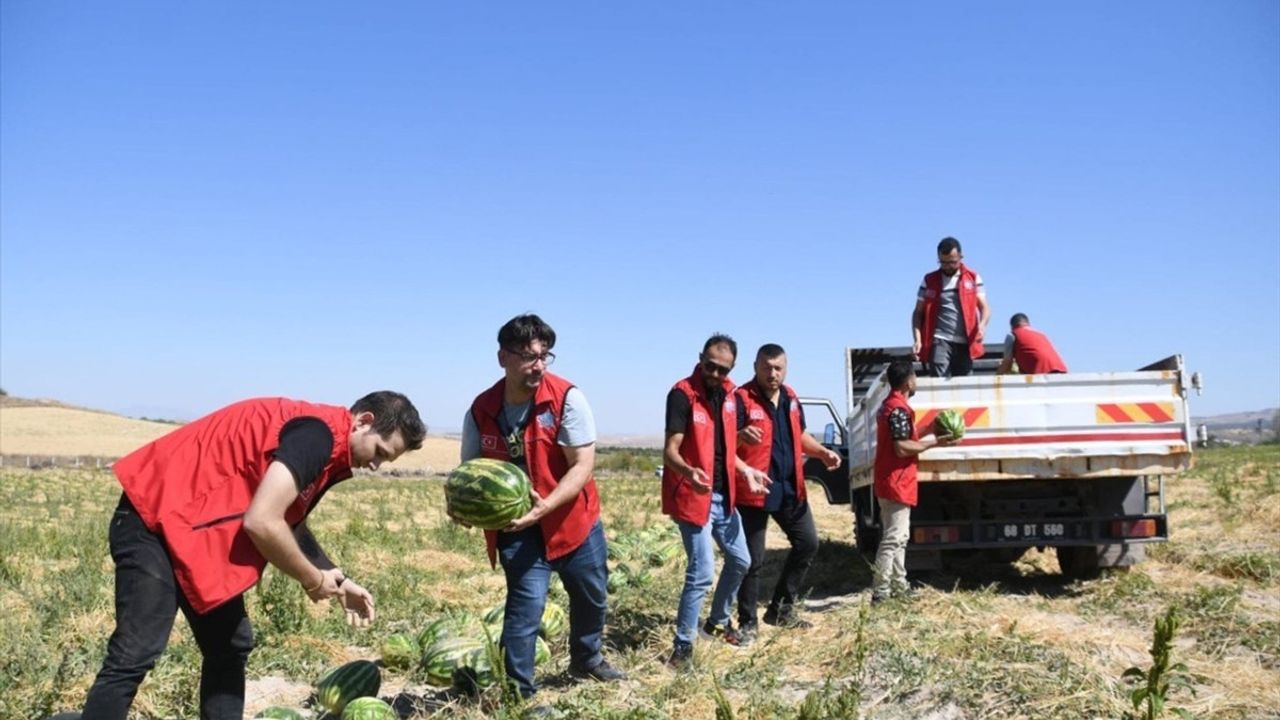 Aksaray Belediyesi 80 Ton Karpuz Dağıtımı Gerçekleştirdi