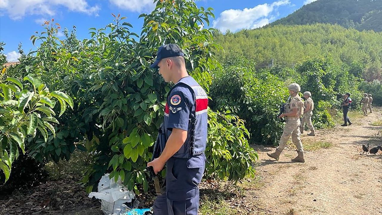 Alanya'da Tropikal Meyve Hırsızlığına Karşı Jandarma Denetimleri