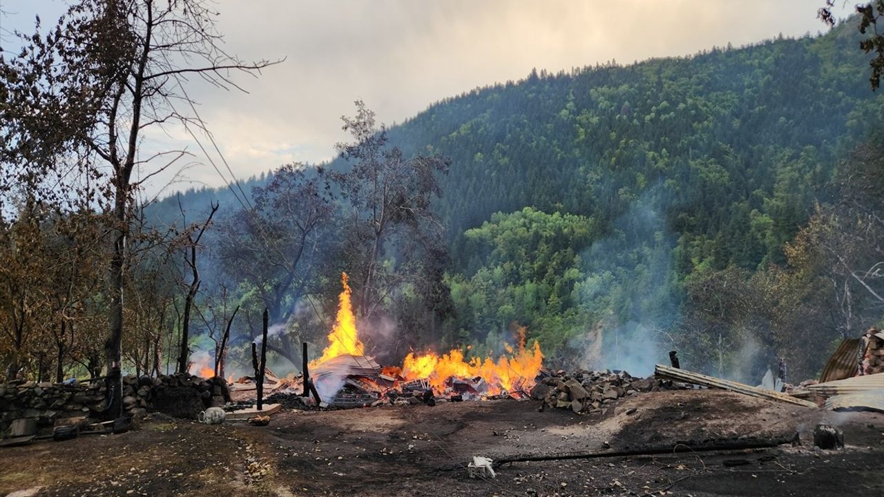 Artvin'in Şavşat İlçesinde Yangın: 3 Ev Kullanılamaz Hale Geldi