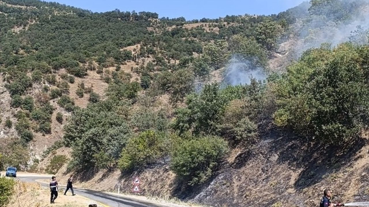 Aydın'da Otomobilde Çıkan Yangın Ormana Sıçradı