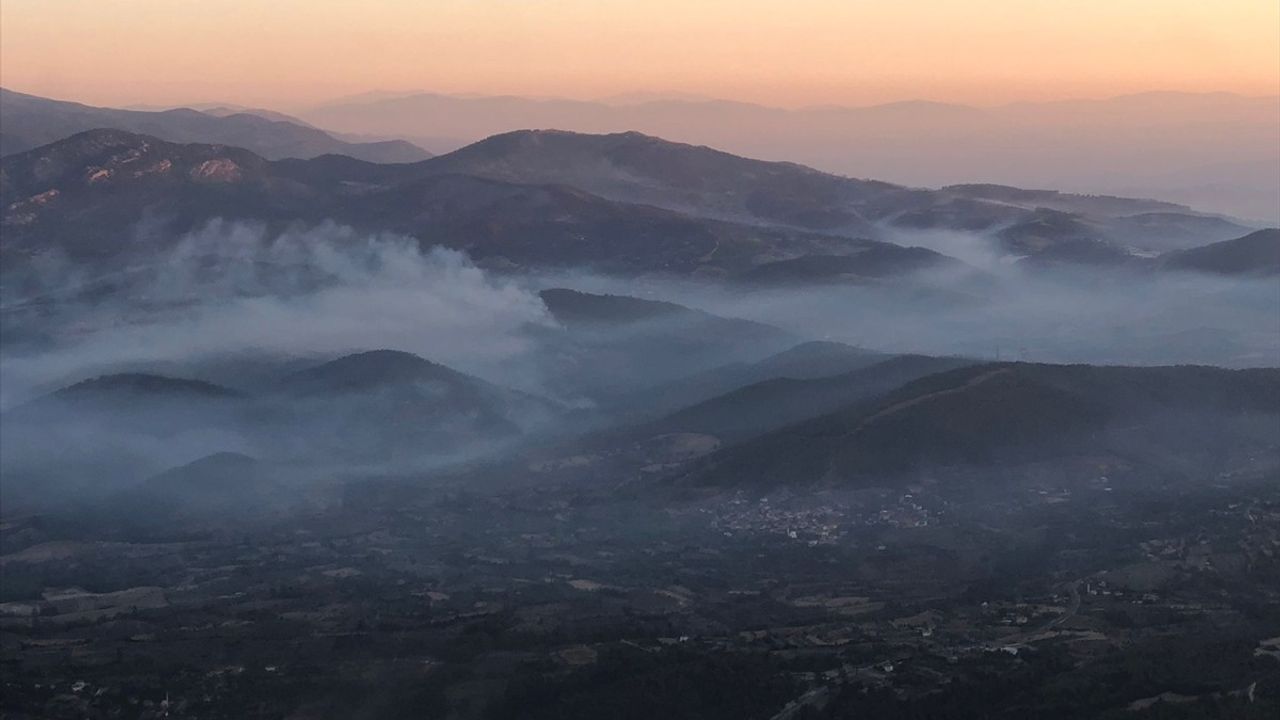 Aydın'ın Bozdoğan Bölgesindeki Orman Yangınına Müdahale Devam Ediyor