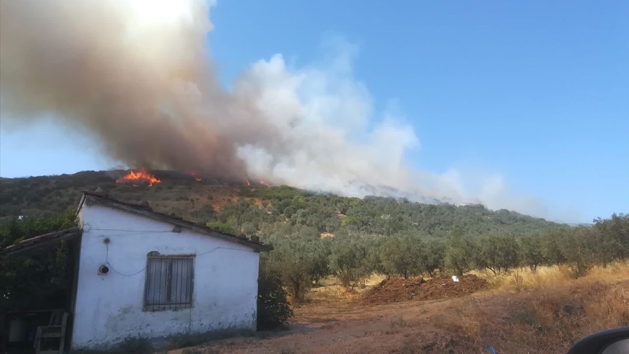 Balıkesir'de Orman Yangınına Hızla Müdahale Ediliyor