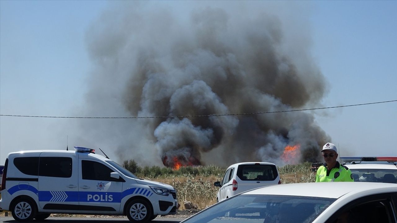 Balıkesir'de Sazlık Yangınları Kontrol Altına Alındı