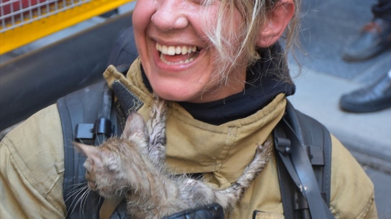 Balıkesir'de Yangında Kurtarılan Kedi Yavrusu 'Biber' Sahibine Kavuştu