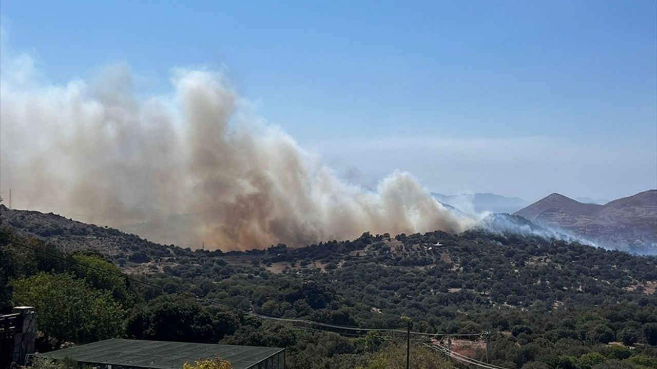 Bodrum'daki Yangın: Makilik Alandan Zeytinliğe Sıçrayan Alevlere Müdahale