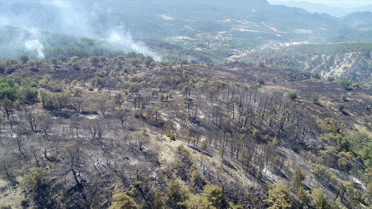 Bolu'daki Orman Yangını Havadan Görüntülendi