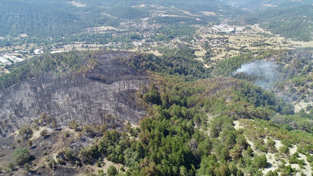 Bolu'daki Orman Yangınına 71 Saatlik Mücadele