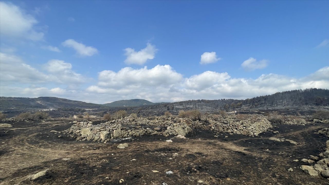 Bolu'daki Yangın Kontrol Altına Alındı, Soğutma Çalışmaları Devam Ediyor