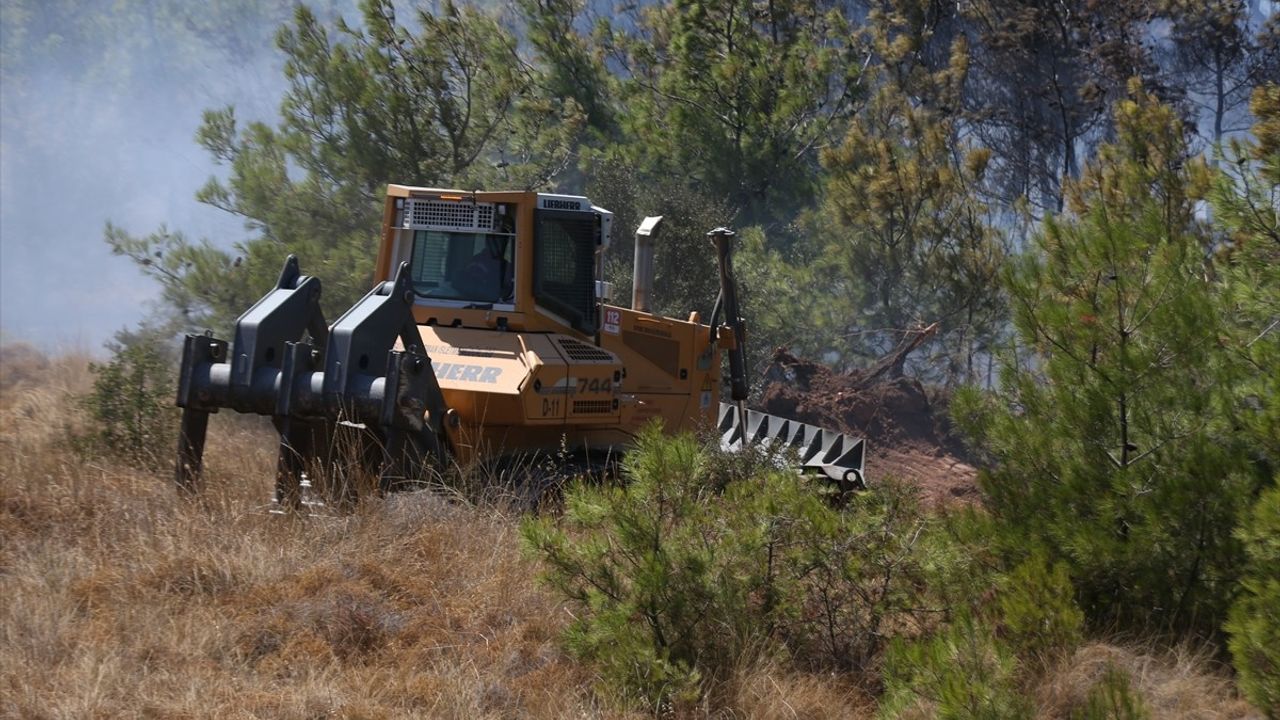 Bozcaada'da Tarım Arazisinde Yangın: Ormana Sıçradı