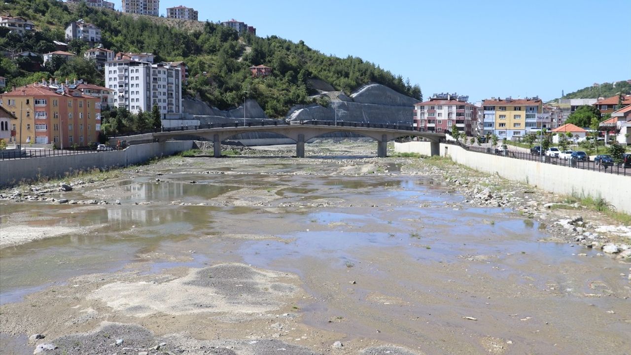 Bozkurt'ta Sel Felaketine Karşı Alınan Önlemler ve Yeniden Yapılanma Süreci