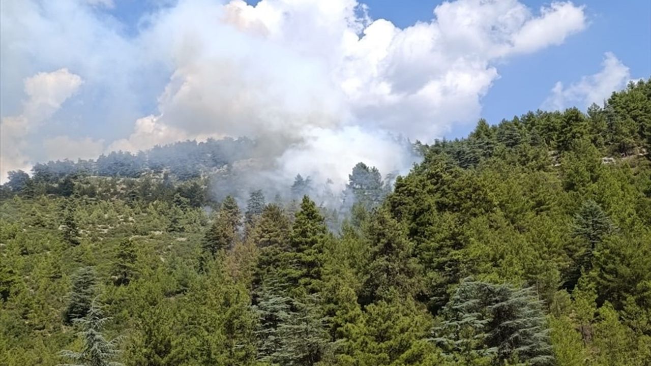 Burdur'da Orman Yangını Kontrol Altına Alındı