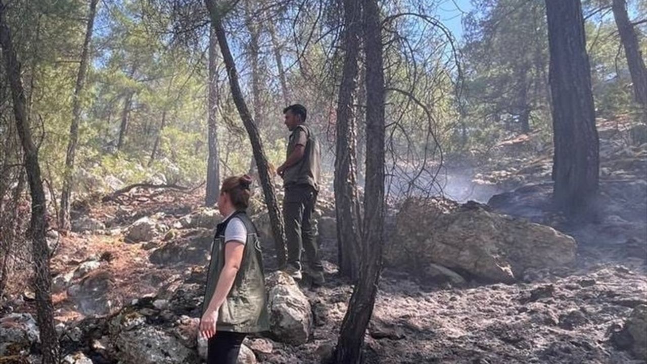 Burdur'da Yıldırım Düşmesi Sonrası Orman Yangını Kontrol Altına Alındı