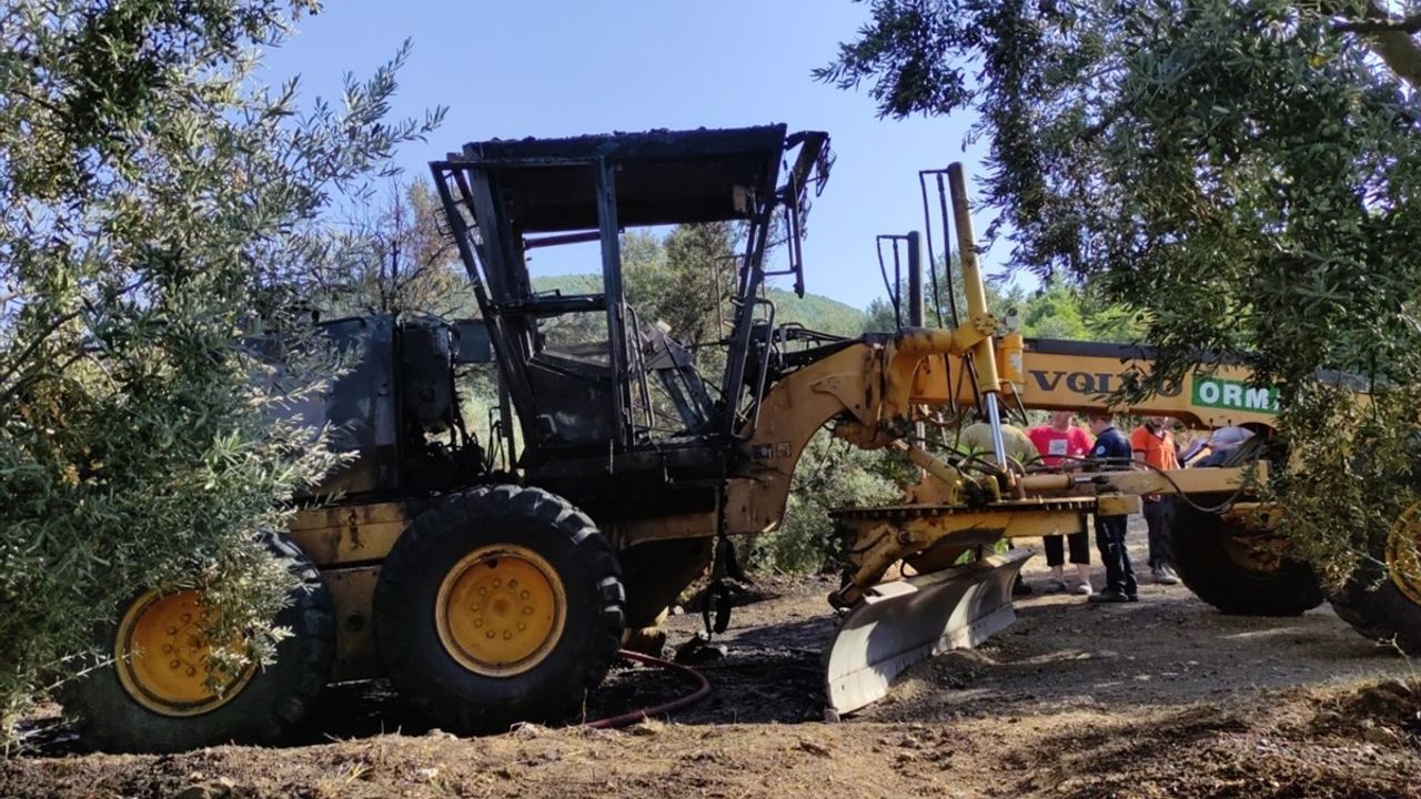 Bursa'da Zeytinliğe Sıçrayan Yangın Kontrol Altına Alındı