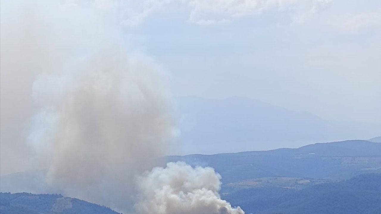 Bursa İznik'teki Orman Yangınına Müdahale Ediliyor