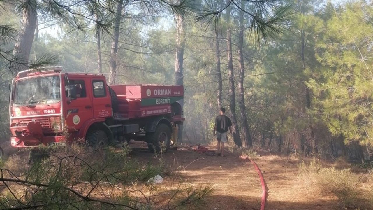 Çanakkale'de Orman Yangını Kontrol Altına Alındı