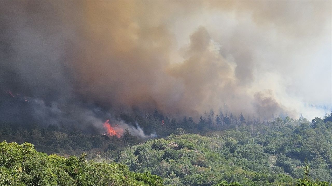 Çanakkale'de Orman Yangınına Müdahale Devam Ediyor