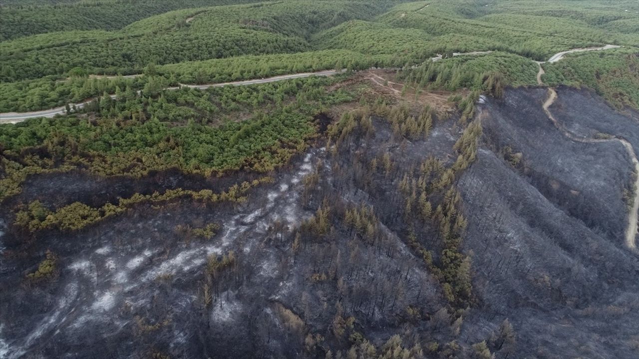 Çanakkale'deki Orman Yangını Havadan Görüntülendi