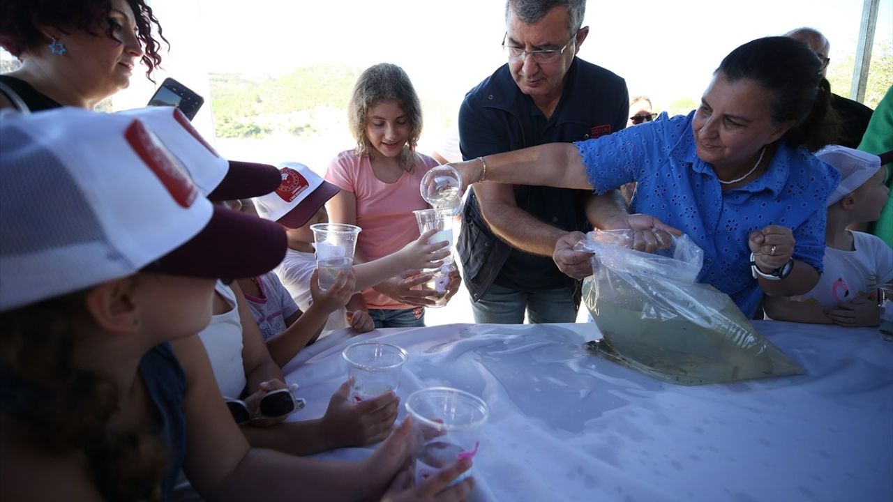 Çanakkale'deki Su Kaynaklarına 1.75 Milyon Sazan Yavrusu Salındı