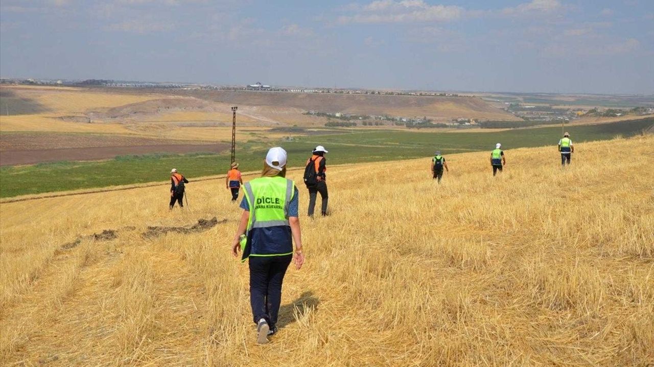 Dicle Elektrik, Kaybolan Narin İçin Arama Çalışmalarına Katıldı