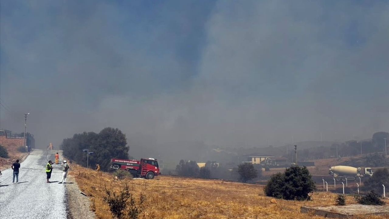 Didim'de Yangınla Mücadele Devam Ediyor