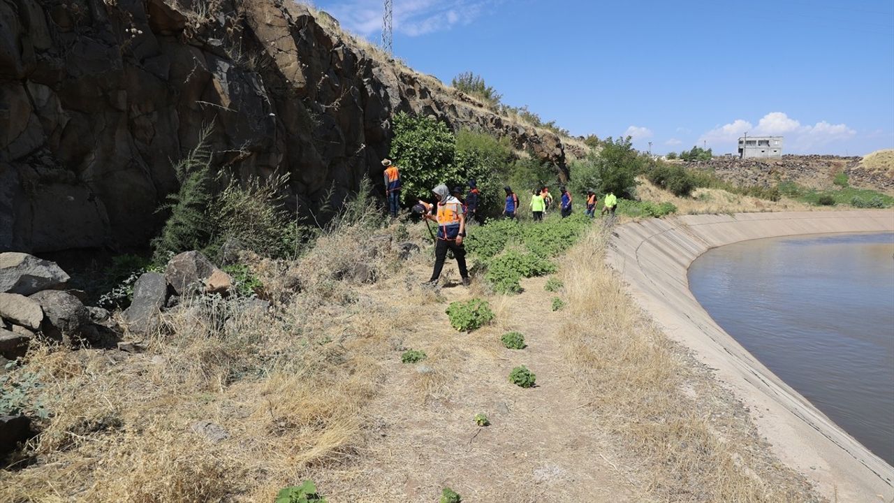 Diyarbakır'da Kaybolan 8 Yaşındaki Narin'in Arama Çalışmaları Devam Ediyor