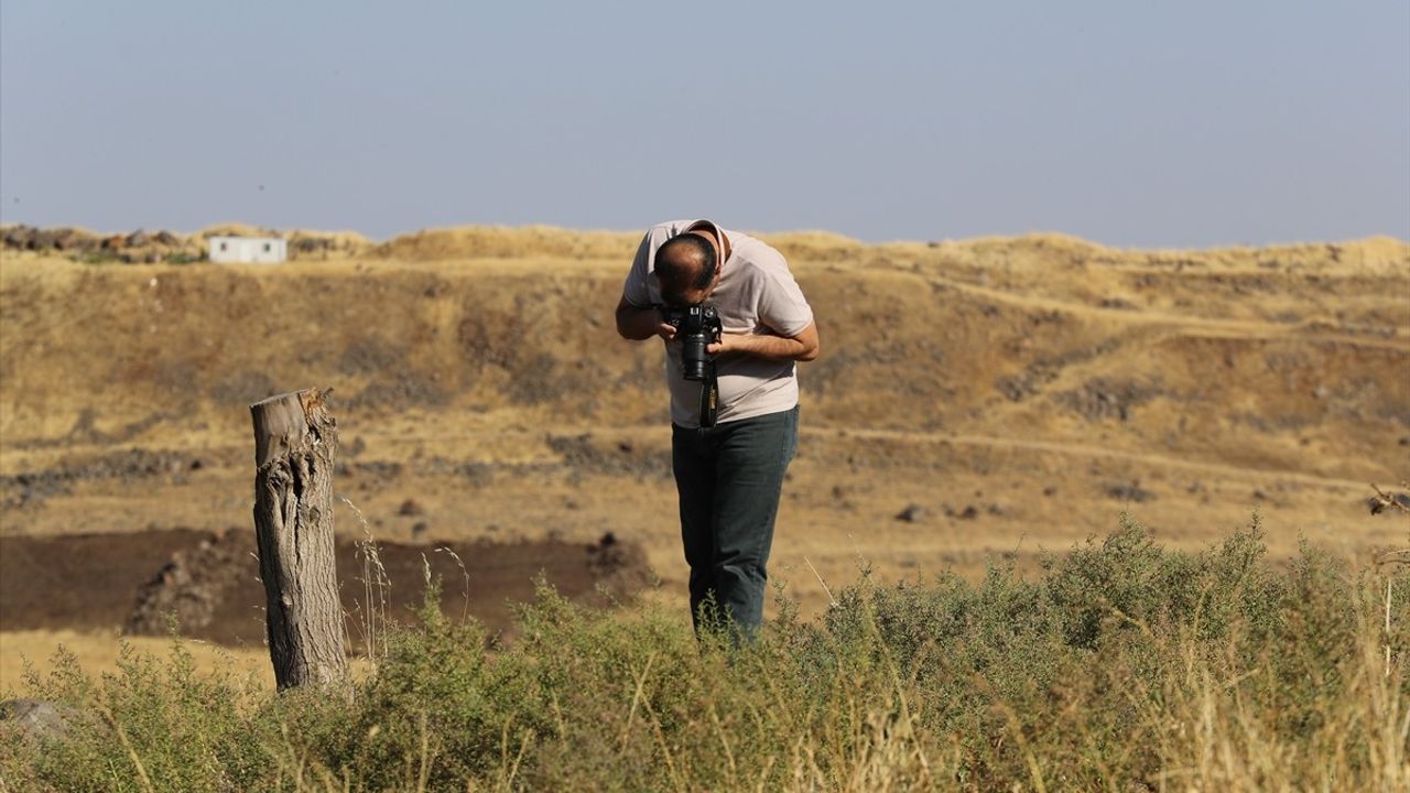 Diyarbakır'da Kayıp 8 Yaşındaki Narin Güran İçin Geniş Çaplı Arama Çalışmaları Devam Ediyor