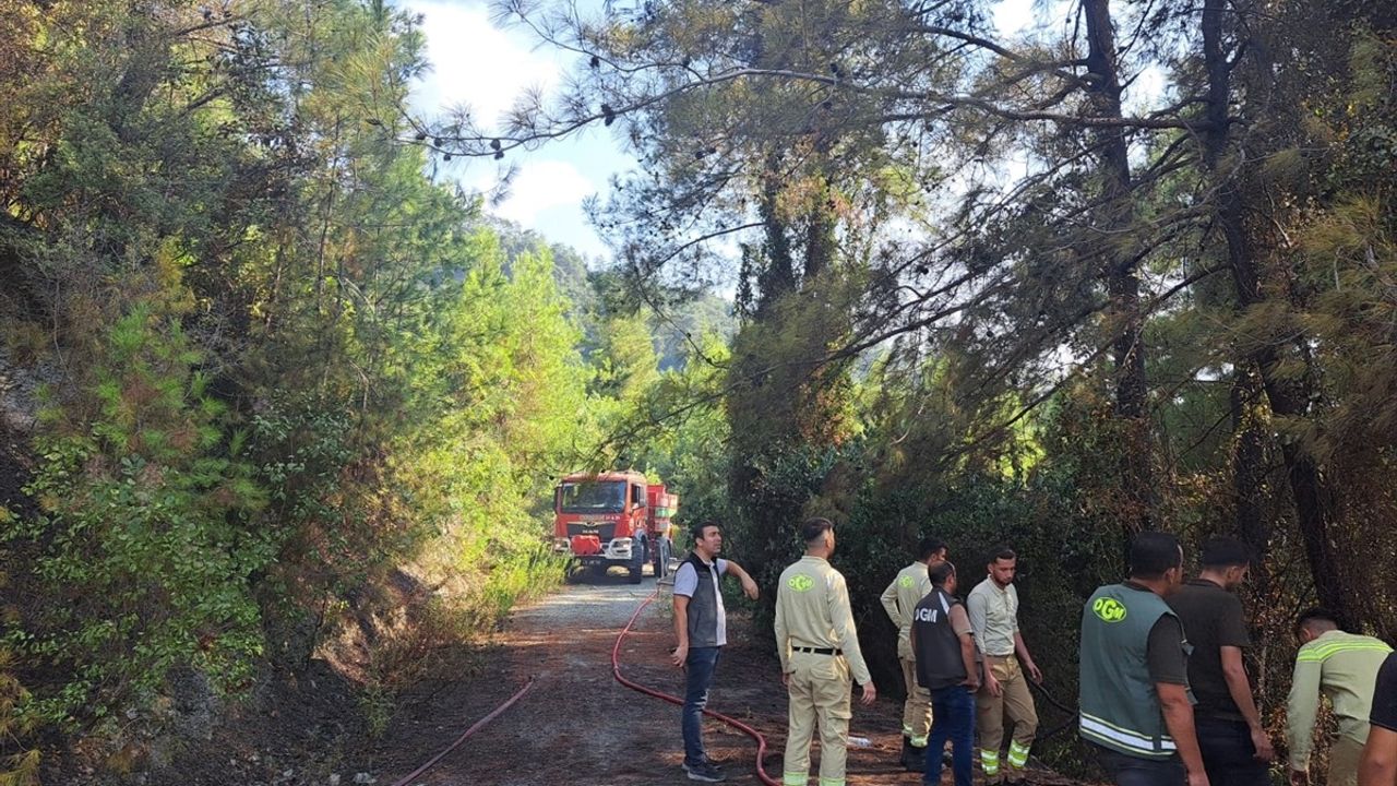 Dörtyol'daki Orman Yangını Kontroller Altında