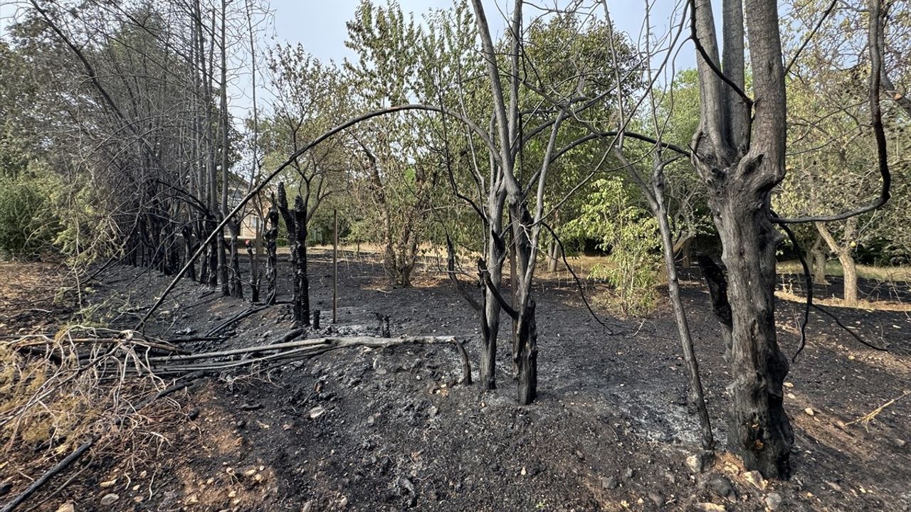 Elazığ'daki Yangın Kontrol Altına Alındı