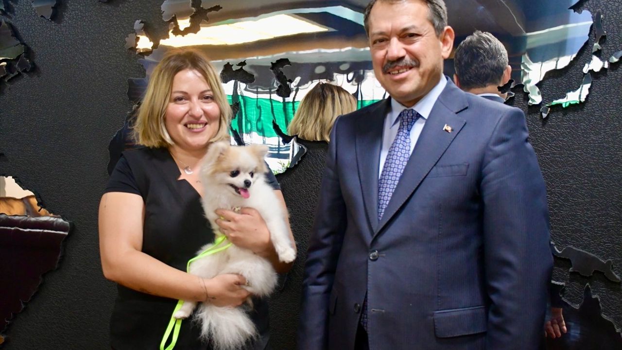 Eskişehir'de Kötü Muameleye Uğrayan Köpek Yeni Sahibiyle Buluştu