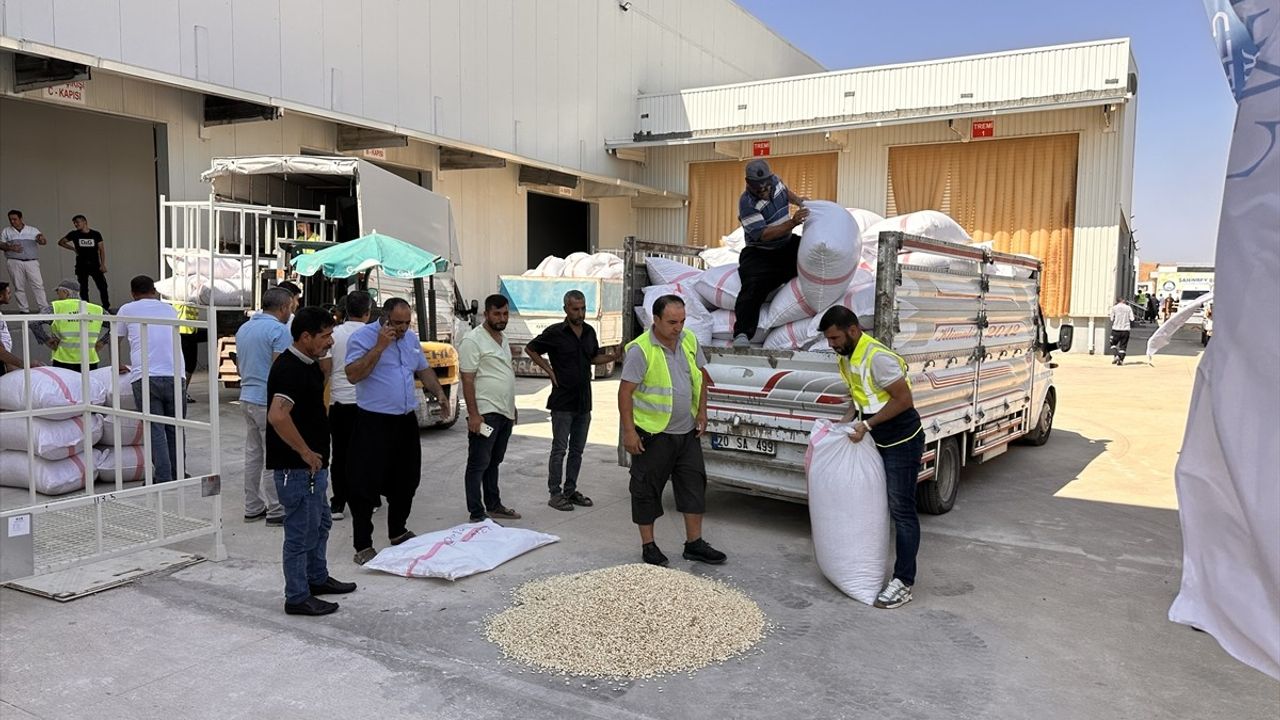 Gaziantep'te Fıstık Alım Süreci Başladı