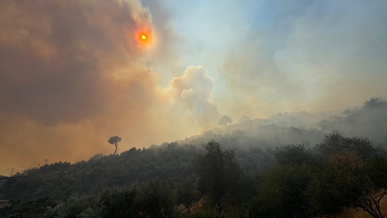 Germencik'teki Yangına Hızla Müdahale Ediliyor