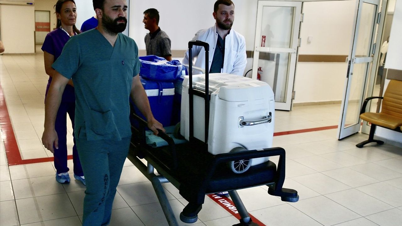 Giresun'da Organ Bağışı ile Umut Işığı