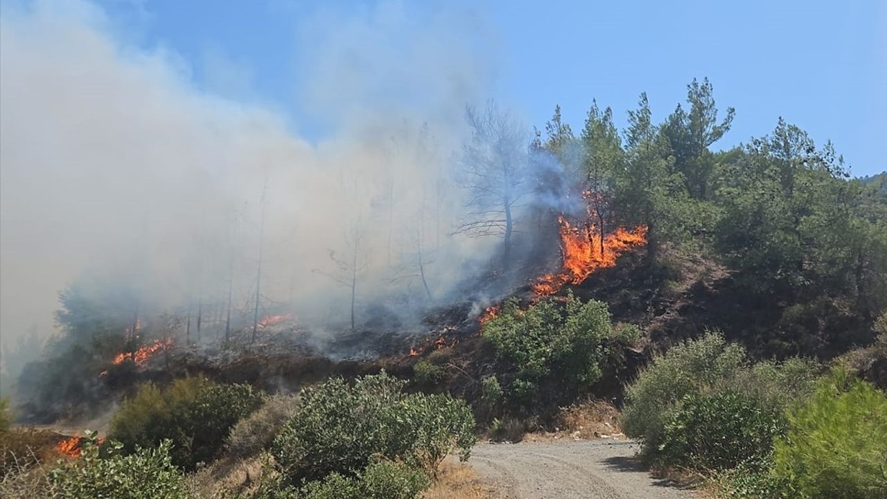 Hatay'da Orman Yangınına Hızlı Müdahale Başlatıldı