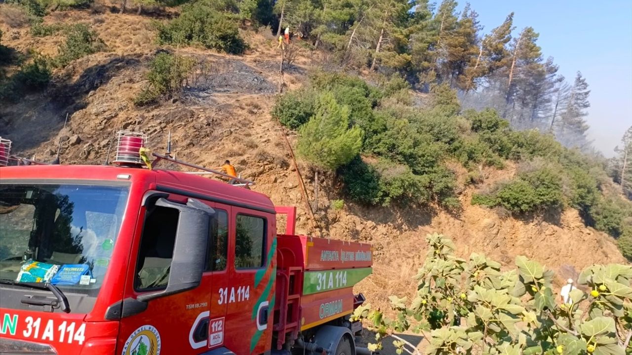 Hatay'daki Orman Yangınına Müdahale Devam Ediyor