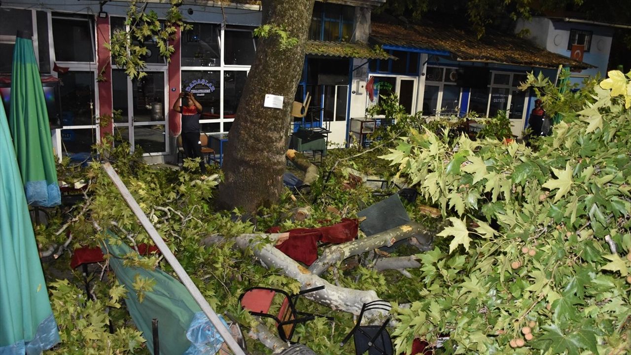 İzmir'de Ağaç Dalları Düşmesi: 9 Yaralı